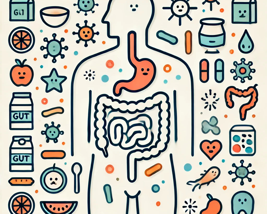 The Importance of Gut Health: A Simple Guide for Everyone