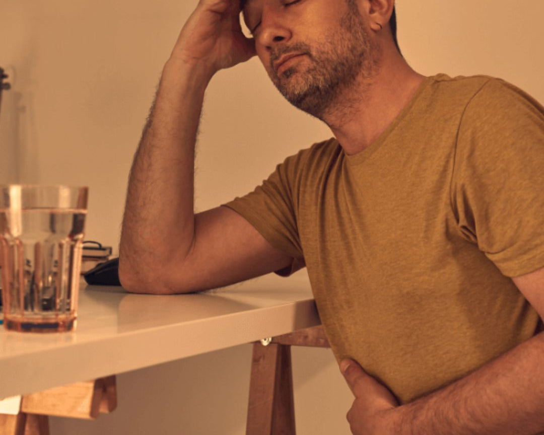 The Next Generation of Prebiotics: How Plant Compounds and Polyphenols Are Transforming Gut Health