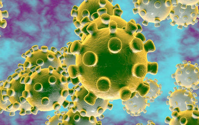 Coronavirus | Do Not Panic, Improve Your Immune System