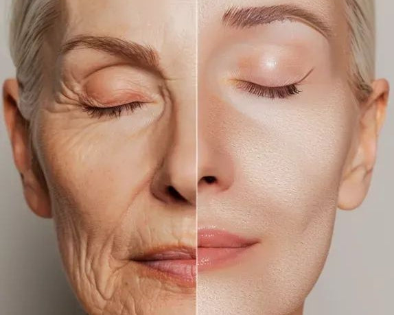 Red Clover for Women’s Health: Natural Relief or Just Hype?