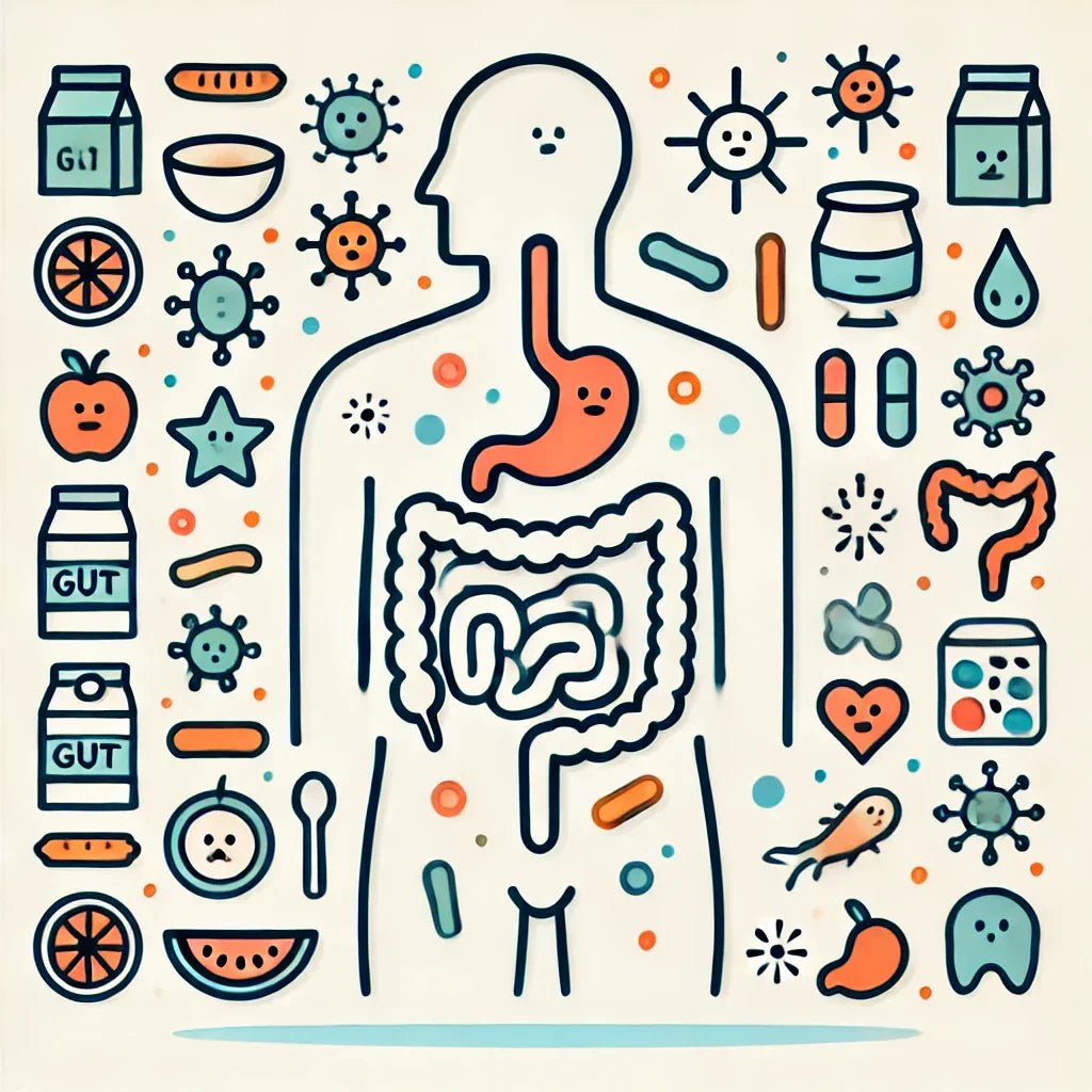 Kepentingan Kesihatan Usus: Panduan Mudah untuk Semua - MyLustre.com