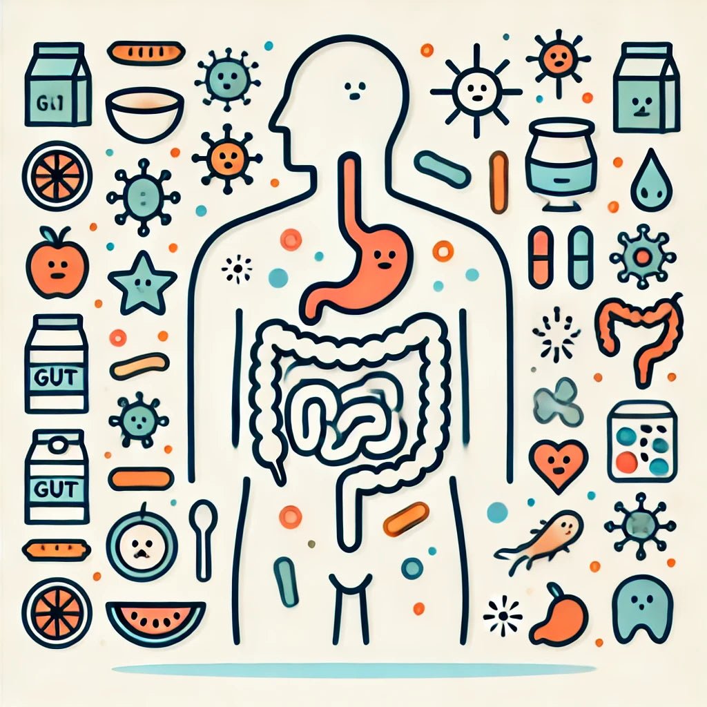 The Importance of Gut Health: A Simple Guide for Everyone - MyLustre.com