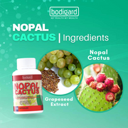 Bodigard Nopal Cactus