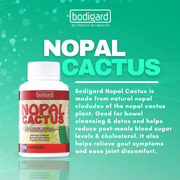 Bodigard Nopal Cactus